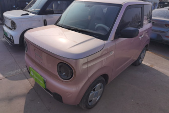 吉利银河 2024款 熊猫mini 200km 耐力熊