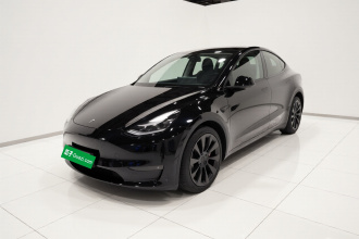 特斯拉 Model Y 2021款 标准续航后驱版