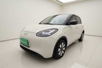 五菱汽车 五菱缤果 2023款 333km 悦享款