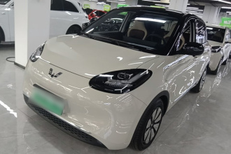 五菱汽车 五菱缤果 2023款 333km 灵犀互联+款