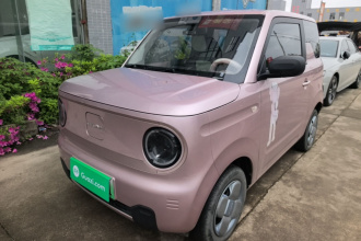 吉利银河 2024款 熊猫mini 200km 耐力熊