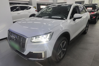 奥迪Q2L e-tron 2019款 Q2L e-tron 纯电智酷型