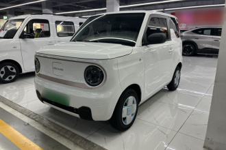 吉利银河 2023款 熊猫mini 200km 耐力熊
