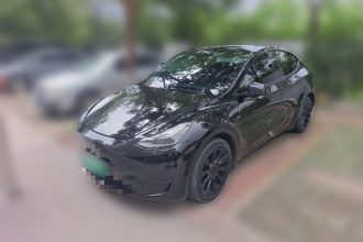 特斯拉 Model Y 2022款 后轮驱动版