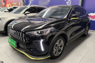 哈弗赤兔 2022款 劲享版 1.5T 黄铜兔