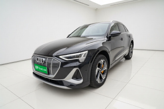 奥迪e-tron 2021款 50 quattro 臻选型