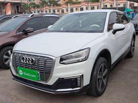 奥迪Q2L e-tron 2019款 Q2L e-tron 纯电智酷型