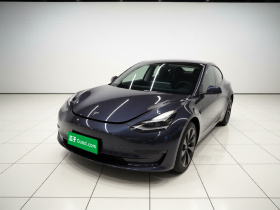 特斯拉 Model 3 2021款 标准续航后驱升级版 3D6