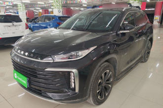 星途凌云 2021款 290T 两驱星享版