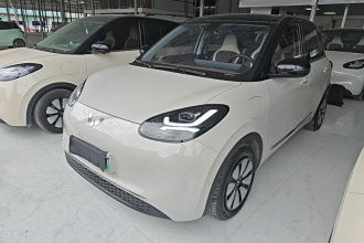 五菱汽车 五菱缤果 2023款 333km 灵犀互联款