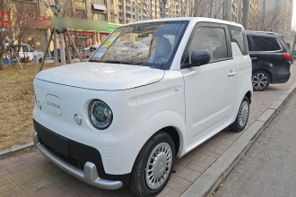 睿蓝汽车 睿蓝蓝气球 2025款 活力版