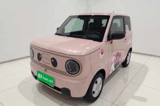 吉利银河 2024款 熊猫mini 200km 耐力熊