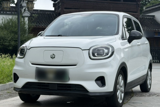 零跑汽车 零跑T03 2022款 皓玉版