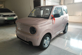 吉利银河 2024款 熊猫mini 200km 耐力熊