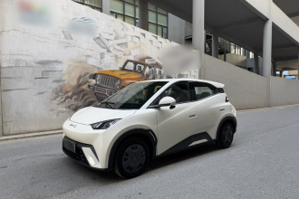 比亚迪 海鸥 2023款 活力版