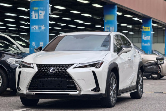 雷克萨斯UX新能源 2020款 300e 纯·享版