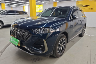 魏牌 拿铁DHT-PHEV 2022款 1.5T 四驱超大杯