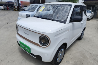 吉利银河 2024款 熊猫mini 200km 耐力熊