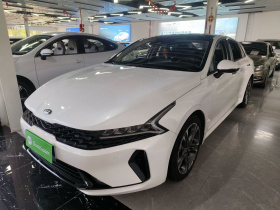 起亚K5 2020款 270T CVVD 豪华版