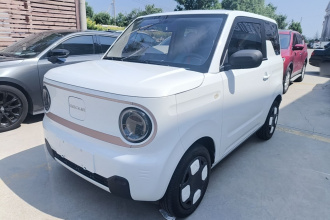 吉利银河 2024款 熊猫mini 200km 耐力熊