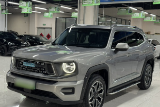 哈弗大狗 PLUS 新能源 2023款 DHT-PHEV 105km 潮电版Plus