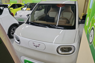 五菱汽车 宏光MINIEV 2024款 第三代 215km 青春版