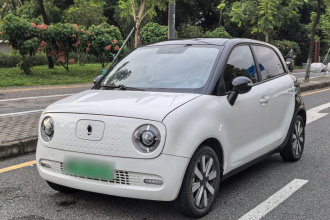 欧拉黑猫 2021款 351km 标准型