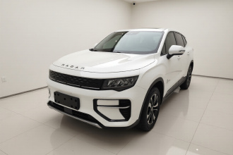 雷达汽车 雷达地平线 2023款 410km 创业版
