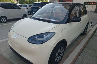 五菱汽车 五菱缤果 2025款 333km 悦享款