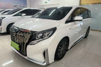 广汽传祺 传祺M8 2021款 大师系列 390T 尊贵版