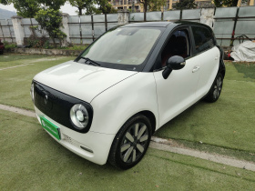 欧拉黑猫 2021款 405km 长续航型