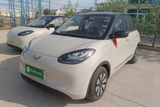 五菱汽车 五菱缤果 2025款 333km 悦享款