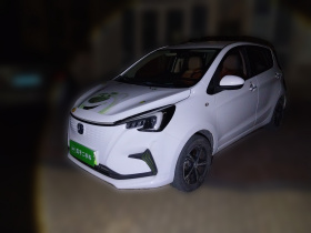 长安 奔奔E-Star 2020款 心动版 三元锂