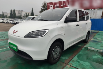 五菱汽车 五菱宏光新能源 2024款 纯电版 300KM 实用型