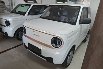 吉利银河 2024款 熊猫mini 200km 耐力熊