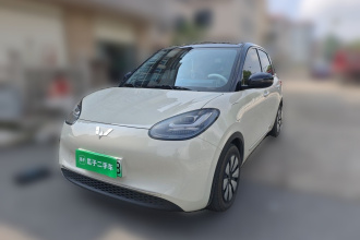 五菱汽车 五菱缤果 2024款 333km 悦享款