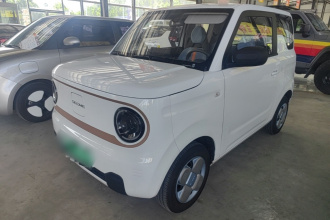 吉利银河 2024款 熊猫mini 200km 耐力熊
