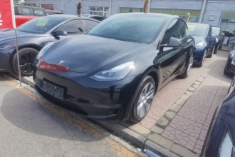 特斯拉 Model Y 2022款 改款 长续航全轮驱动版