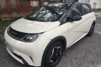 比亚迪 海豚 2021款 405km 自由版