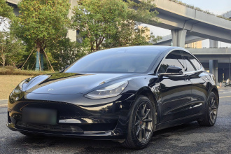 特斯拉 Model 3 2020款 改款 标准续航后驱升级版