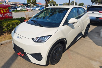 比亚迪 海鸥 2025款 智驾版 305km 活力版