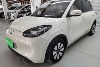 五菱汽车 五菱缤果 2023款 333km 悦享+款