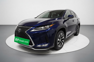雷克萨斯RX 2020款 300 两驱舒适版 国VI