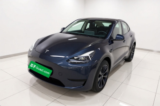 特斯拉 Model Y 2024款 后轮驱动版