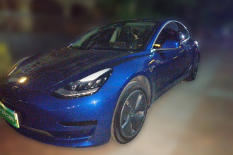 特斯拉 Model 3 2020款 标准续航后驱升级版