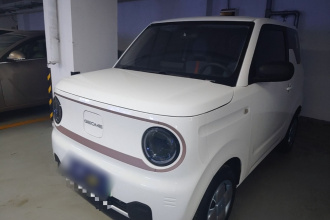 吉利银河 2023款 熊猫mini 200km 耐力熊