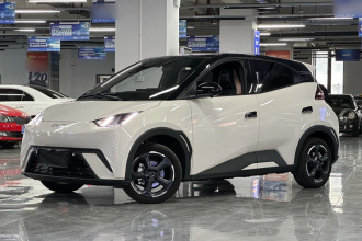 比亚迪 海鸥 2024款 荣耀版 405km 飞翔版