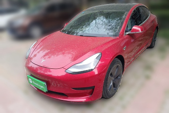 特斯拉 Model 3 2019款 标准续航后驱升级版