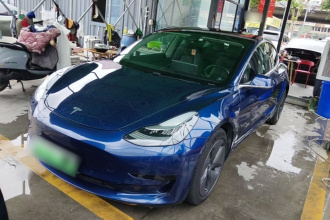 特斯拉 Model 3 2020款 改款 标准续航后驱升级版