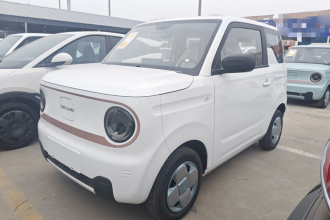 吉利银河 2024款 熊猫mini 200km 耐力熊